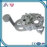Polished Extrusion Profiles Aluminum Die Cast Auto Parts (SY0193)