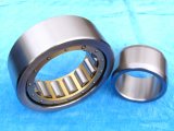 Cylindrical Roller Bearing in High Quality