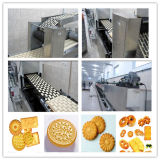 Multifunctional Hard and Soft Biscuit Processing Machine