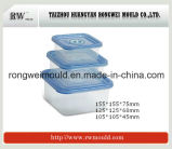 Injection Small Capacity Food Container Mould