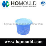 Injection Preservation Box Mould /Plastic Mold