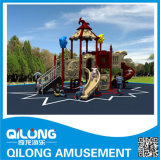 CE Standard Happy Playground Equipment (QL14-018A)