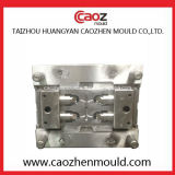 Plastic Injection PPR Pipe Fitting Mould in China