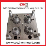 Professional Manufacture of Plastic Cap Mould in China