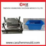 Plastic Injection Fish Crate Mould/Mold/Moulding