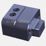 Plastic Mold Component (ACT-Z48)