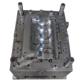 Professional Auto Plastic Injection Mould (Standard)