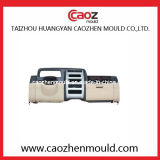 Plastic Injection Mould for Auto Car Panel