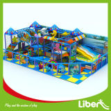 Professional Manufacturer Commercial Indoor Playground with SGS Approved