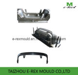 Plastic Car Bumper Mold/Mould (E1)
