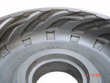 Agricultural Tyre Mould