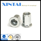 Qualitified OEM Stamping Parts From China Manufacture