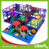Trustworthy Manufacturer Ocean Theme Indoor Playground Center for Chidlren