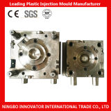 Precision Injection Plastic Mould Processing From China (MLIE-PIM138)