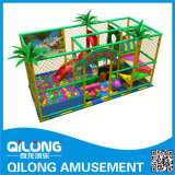 Family Play Center Children Playground Equipment (QL-3091B)