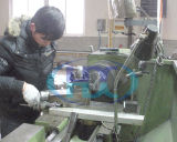 Oil Seal Mould -3