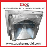 Professional Manufacture of Plastic Auto Car Light Mould
