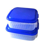 Plastic Injection Mould for Plastic Recycle Storage Box