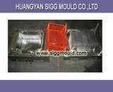 Plastic Frame Mould/Plastic Box Mould/Pipe Fitting Mould (SIGG-005)