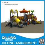 Competitive Price Outdoor Playground (QL14-117B)