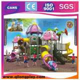 Newly Style Outdoor Playground (QL14-106D)