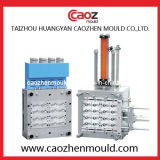 High Quality Plastic Flip Cap Mould in Huangyan