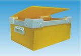 Plastic Packing/Packaging Mold/Mould/Tool/Molding