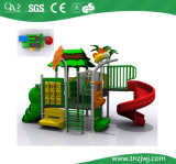 New Design Theme Park Playground for Kids Outside (TN-H003)