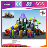 Popular Kids Outdoor Playground (QL-5001B)