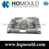 Plastic Injection Auto Parts Mould for Car Door
