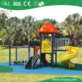 Outdoor Playground, Outdoor Plastic Slide (TN-P080D)