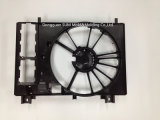 Plastic Injection Mold of Automotive Flow Fan (AP-034)