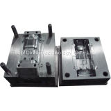 Plastic Mold (Injection Mould) (Dpy-M006)