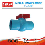 PPR Pipe Mold
