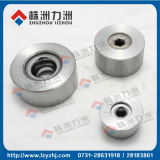 Carbide Precision Mould From Professional Manfacturer