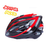 Professional Safety Sport Helmet Bike Helmet
