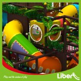 Small Jungle Themed Indoor Playground Equipment Imported From China