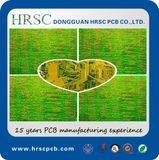 Auto Parts Fr-4 HASL PCB and PCBA Supplier China