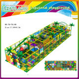 Amusement Indoor Playground Equipment (LG1112)