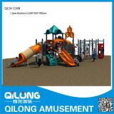 China Manufacturer Playground Equipment (QL14-116B)