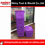Storage Box Mold Manufacturer