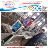 PP Strap Extrusion Line with One Mould with Two Strips