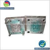 High Quality Precision Injection Mold, Plastic Button Mould (MD25019)