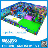 High Quality Business Indoor Playground Equipment (QL-150406A)