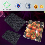 Fruit Tray Moulds Factory