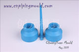 PPR Reducer Pipe Fitting Mold