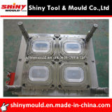 Lid of Thin Wall Box Mold Taizhou China Supplier