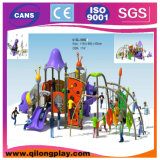Good Fun Outdoor Playground Equipment (QL-5002B)