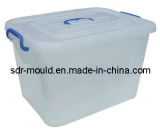 Plastic Injection Locker Box Mold Mould