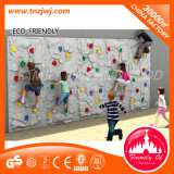 Children Plastic Outdoor Climbing Wall with Holders
